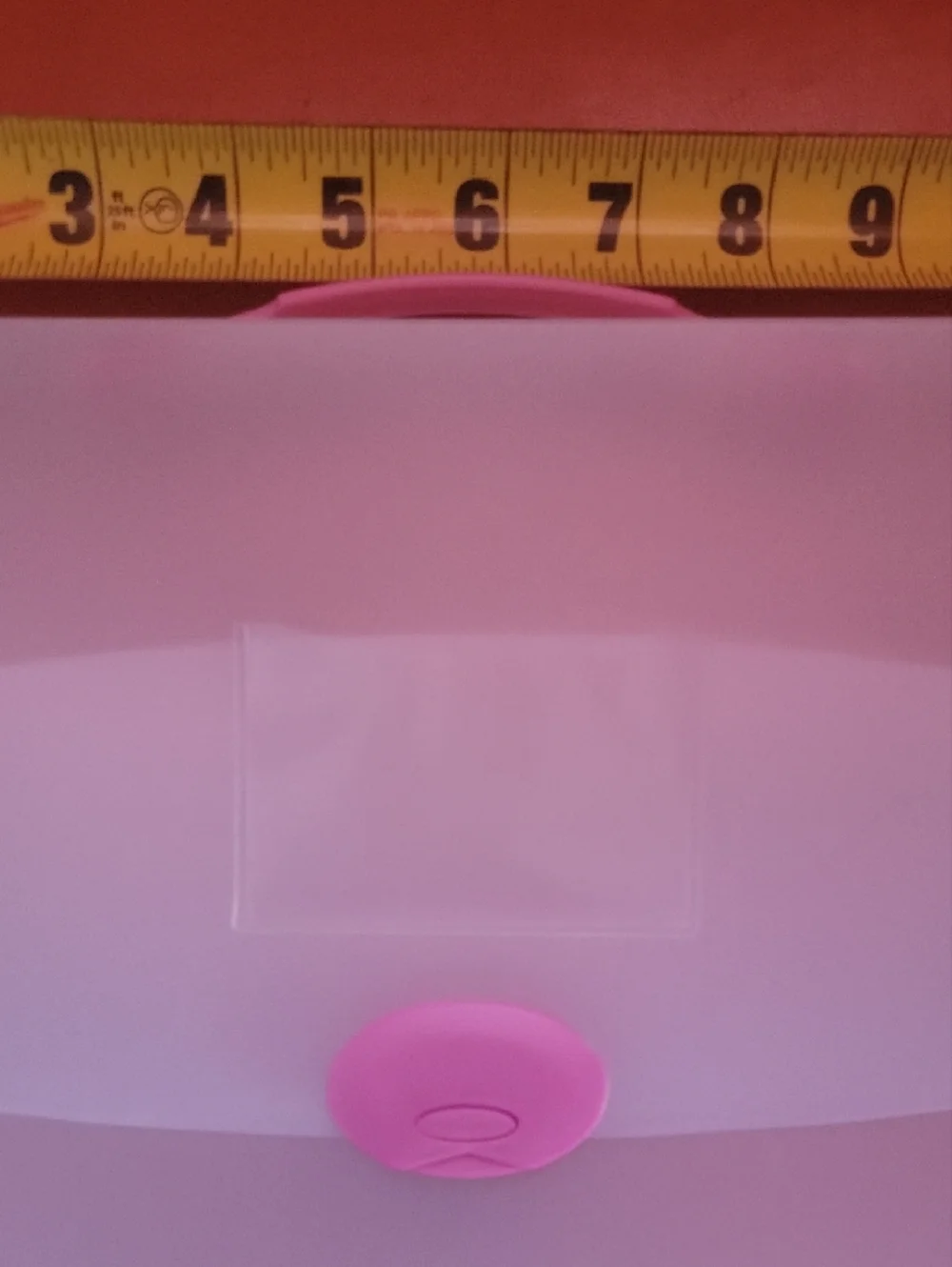 Pink-Accent Clear Plastic Document Organizer